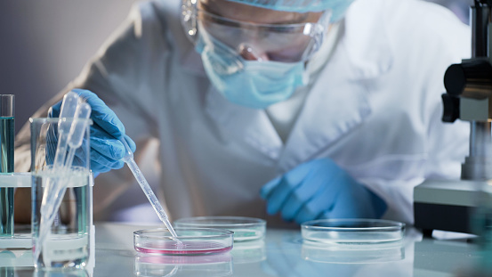 Scientist carefully carrying matured cell to another plate, conducting research