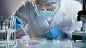 istock Scientist carefully carrying matured cell to another plate, conducting research 879831370