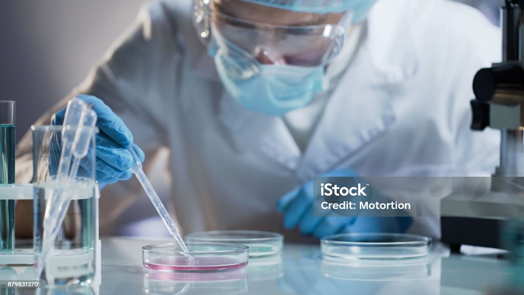 Scientist carefully carrying matured cell to another plate, conducting research Laboratory Stock Photo