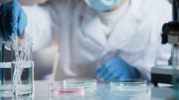 istock Lab researcher taking sterile pipette to examine cell, conducting research 879831396