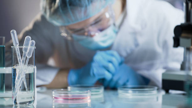 istock Scientist carefully examining matured cell at petri dish, conducting research 879831432
