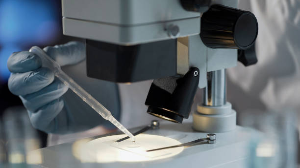 istock Laboratory worker preparing biological material, DNA test to establish paternity 879831860