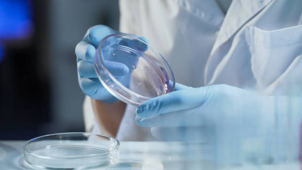 istock Lab worker examining consistency of material, working on creation of detergent 879832366