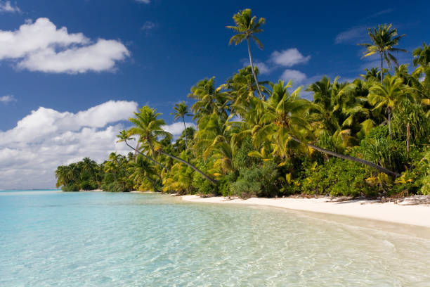 istock Tropical Paradise - Aitutaki Lagoon - Cook Islands 879832500