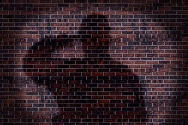 istock Shadow of military soldier saluting 879851266