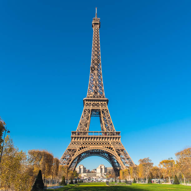 istock Paris, Eiffel tower, panorama from the Champ de Mars 879889240