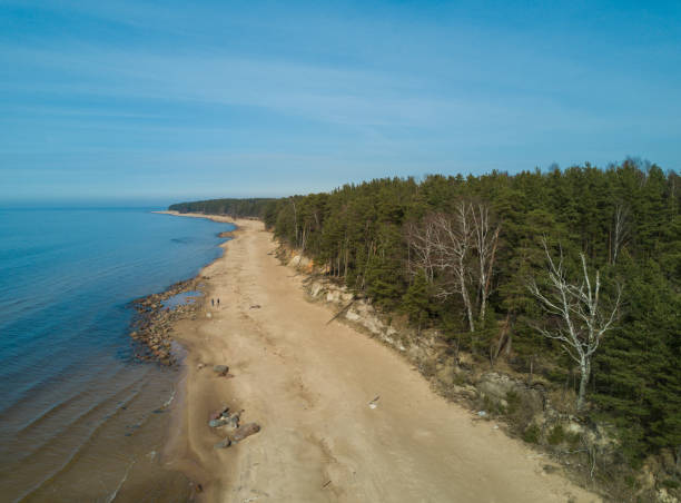 istock Seaside, Baltic sea. Sand and forest. Aerial view. 879922122
