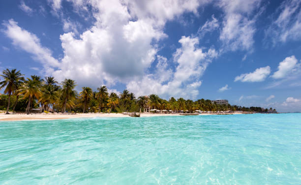 istock Caribbean paradise beach in Isla Mujeres, Mexico 879922456