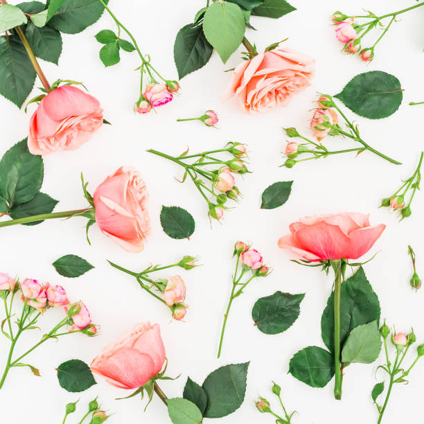 istock Floral pattern with pink roses, green leaves and branches isolated on white background. Flat lay, top view. Floral's background. 879942438