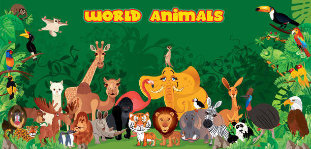 zwierzęta świata - tiger lion leopard cartoon stock illustrations