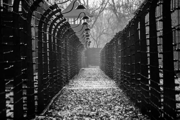 Auschwitz concentration camp Oswiecim, Poland – March 28, 2016: Electrical fences of Auschwitz - the largest German concentration camp built and operated by the Third Reich in Polish areas annexed by Nazi Germany during World War II. Place of the largest mass murder in a single location in human history. nazism photos stock pictures, royalty-free photos & images