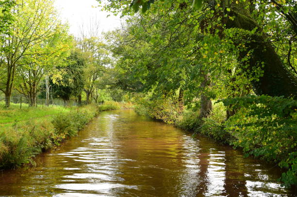 istock Narrow-boating in Autumn 879956028