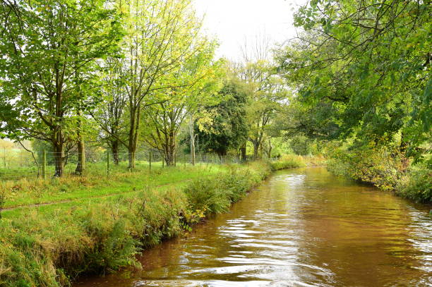 istock Narrow-boating in Autumn 879956052