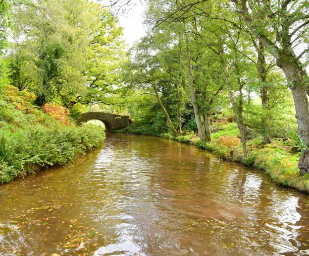 istock Narrow-boating in Autumn 879962124