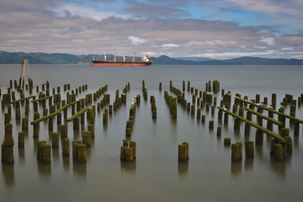 piękna złamana symetria mchu pali z statkiem w tle - astoria oregon zdjęcia i obrazy z banku zdjęć