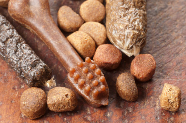istock Dog dry food 879973172