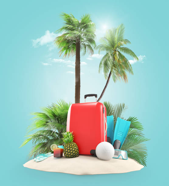 Suitcases on the beach with palms stock photo
