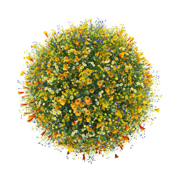 World made with flowers, green world stock photo