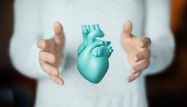 istock Hands with heart, health or love 879976756