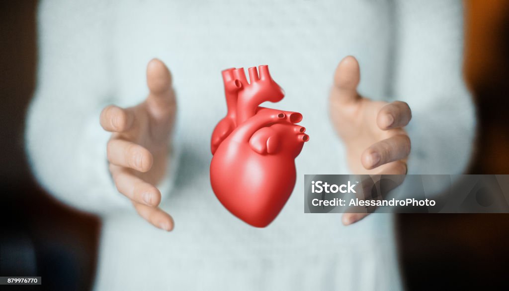 Hands with heart, health or love Red heart on hands, health Women Stock Photo