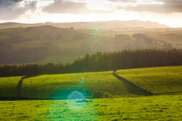 istock Always look against the light to see the most stunning views. 879989266