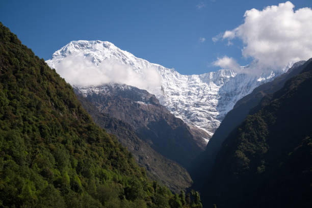 istock Annapurna sanctuary trek 880011240