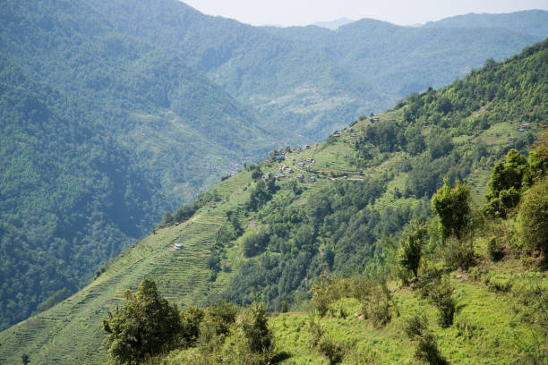 istock Annapurna sanctuary trek 880013586