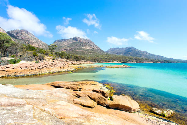 허니문 베이, 프레이 시 넷 국립 공원, 태 즈 매니아, 호주 - freycinet national park 뉴스 사진 이미지