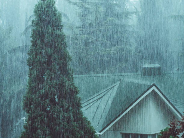 istock forest house during the rain