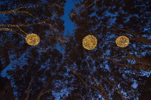 istock Christmas holiday lights 880047858