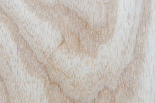 istock Abstract Ash Wood texture natural design , used for background website or add text in advertise 880057430