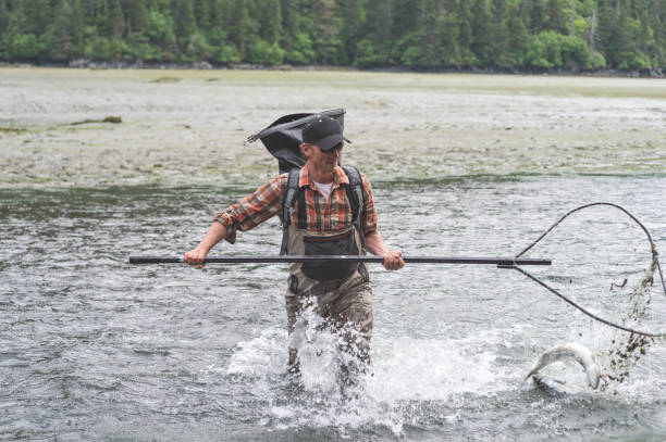 istock Alaskan net fishing! 880057614