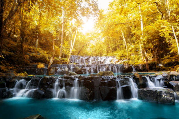 istock Sam Lan Waterfall is beautiful waterfall in tropical forest, Saraburi province, Thailand. 880063932