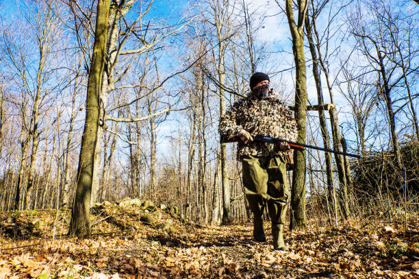 istock A hunter in camouflage walking in the woods in the fall. 880093504