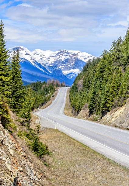 istock Road, highway  between the snow mountains and green forest 880097780