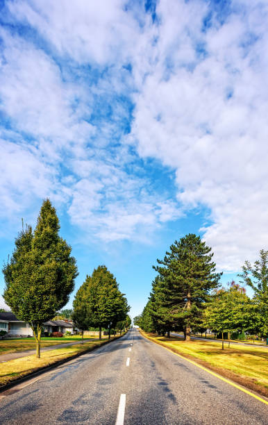 istock beautiful asphalt road in the suburbs with beautiful scenery 880104058