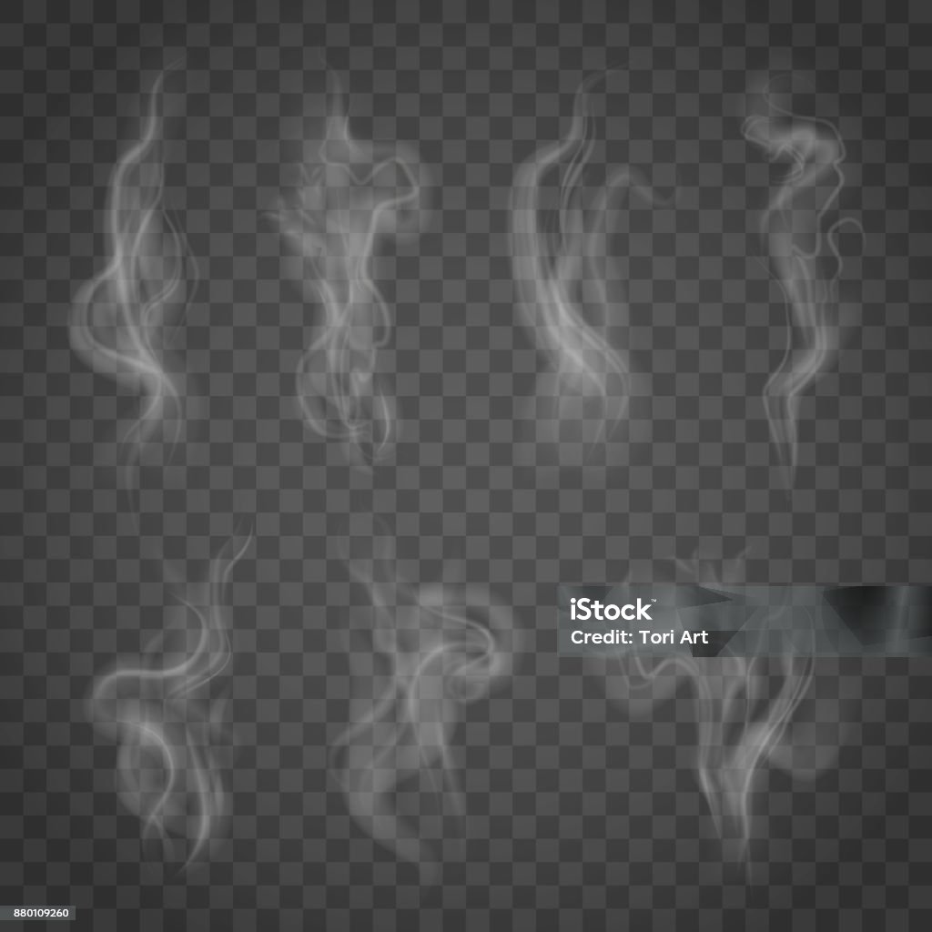 Set of isolated smoke on a transparent background. White steam from a cup of coffee or tea. Smoke - Physical Structure stock vector