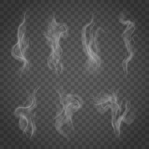 Set of isolated smoke on a transparent background. White steam from a cup of coffee or tea. smoke physical structure stock illustrations