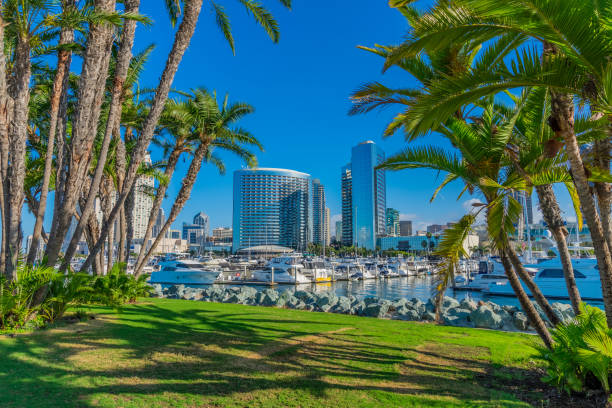 サンディエゴのスカイライン、ca の高層ビルと街並み - san diego california skyline california san diego bay ストックフォトと画像