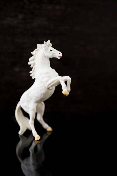 istock White horse standing action isolated 880116512