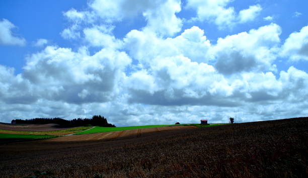 Hokkaido biei