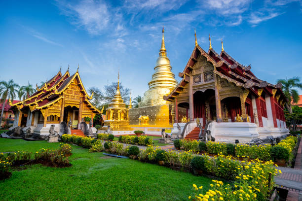 wschód słońca w świątyni wat phra singh. ta świątynia zawiera najwyższe przykłady sztuki lanna w starym centrum miasta chiang mai, tajlandia. - art thailand thai culture temple zdjęcia i obrazy z banku zdjęć