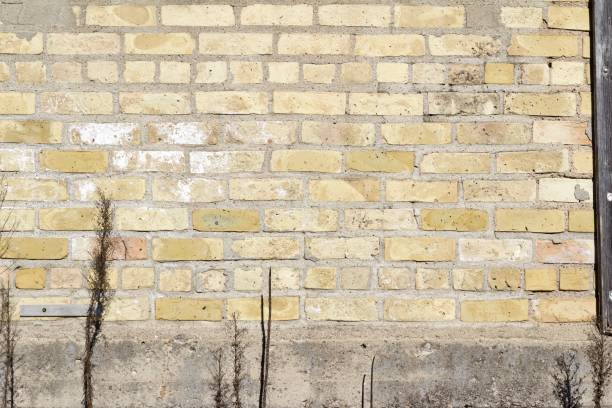 istock Old Dingy Antique Yellow Brick Wall Background 880128402