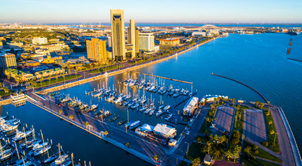 Aerial Drone View Corpus Christi , TX Bayfront at sunrise long shadows behind the Twin Towers and Harbor Bridge with T-Head Paradise palm Trees and golden towers along Corpus Christi , TX Bayfront at sunrise with marina and the water still with a reflecting cityscape painted in golden hour , Marina , boats , and Bay with Gulf of mexico and sea wall . The refineries and in the background and thousands of new Wind Turbines line the background. city street street man made structure place of work stock pictures, royalty-free photos & images