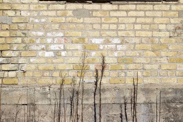 istock Old Dingy Antique Yellow Brick Wall Background 880131346
