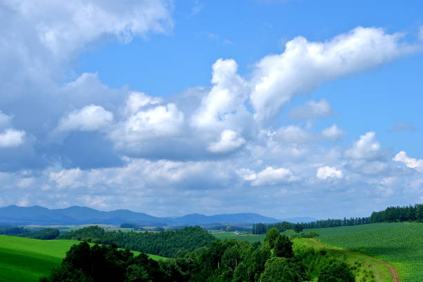 istock Scenery of Biei Hokkaido 880144164