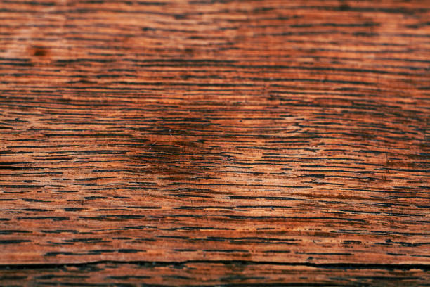 istock wood texture, timber wooden material 880159950