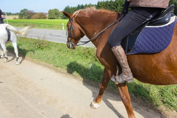 istock two ladies riding horse on a sunny september day 880167352