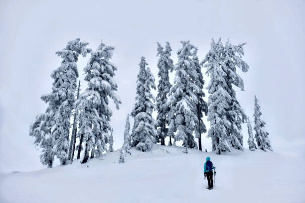 istock Hiking in winter forest after heavy snowfall. 880171988
