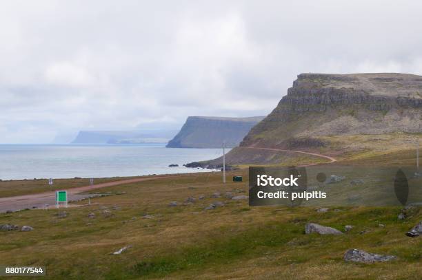 Beautiful Landscape In Latrabjarg Iceland Stock Photo - Download Image Now - Animal, Animal Nest, Animal Wildlife
